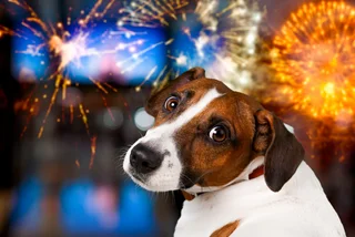 Czechia proposes stricter regulation of fireworks sales
