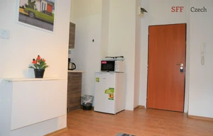 Apartment for rent, 1+KK - Studio, 17m<sup>2</sup>