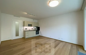 Apartment for rent, 1+KK - Studio, 32m<sup>2</sup>