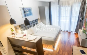 Apartment for rent, 1+KK - Studio, 33m<sup>2</sup>