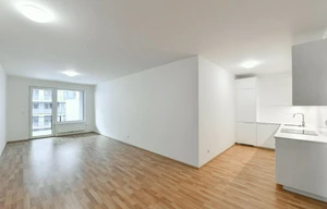 Apartment for rent, 1+KK - Studio, 47m<sup>2</sup>