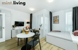 Apartment for rent, 1+KK - Studio, 40m<sup>2</sup>