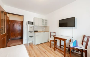 Apartment for rent, 1+KK - Studio, 16m<sup>2</sup>