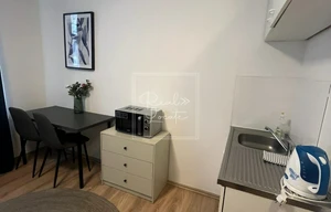 Apartment for rent, 1+KK - Studio, 18m<sup>2</sup>