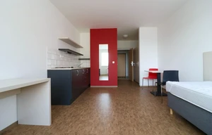 Apartment for rent, 1+KK - Studio, 33m<sup>2</sup>