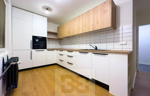 Apartment for rent, 2+kk - 1 bedroom, 50m<sup>2</sup>