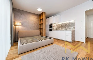 Apartment for rent, 1+KK - Studio, 37m<sup>2</sup>