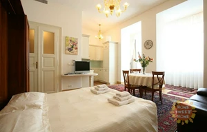 Apartment for rent, 1+KK - Studio, 48m<sup>2</sup>