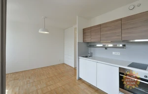 Apartment for rent, 1+KK - Studio, 30m<sup>2</sup>