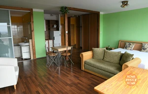 Apartment for rent, 1+KK - Studio, 45m<sup>2</sup>