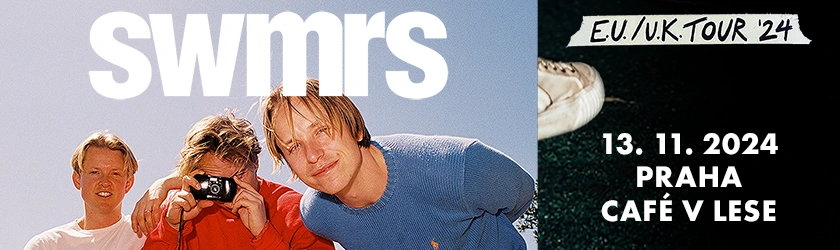 SWMRS In Article