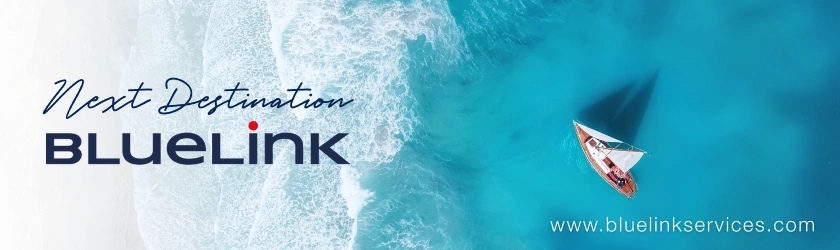 Bluelink 2025 list var 1