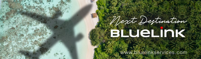 Bluelink 2025 list var 2