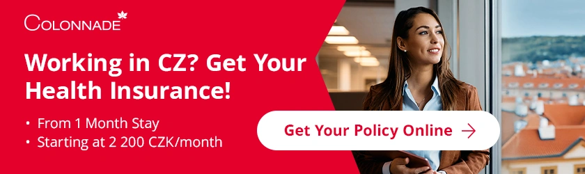 Health Insurance 2025 in-article