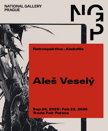 NGP Aleš veselý side