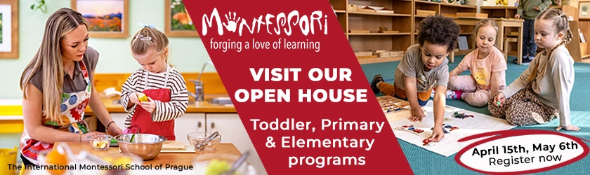 Montessori 2026 Category list