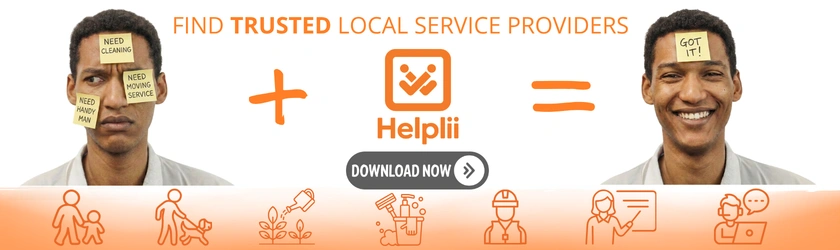 Helplii Category list & in-article