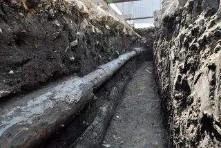 Pine Tree Pipeline Discovered Under Prague’s Wenceslas Square