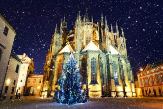 Prague is the world's cheapest city for buying a Christmas tree