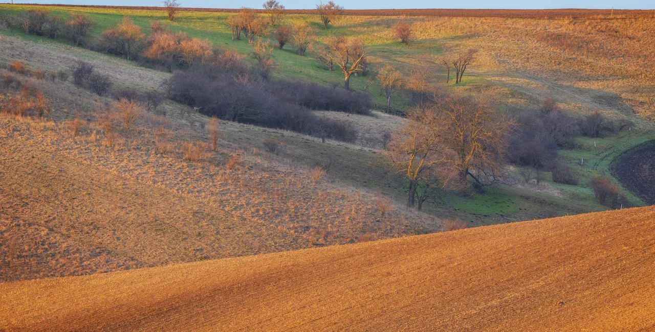 Dry fields in South Moravia (illustrative image)