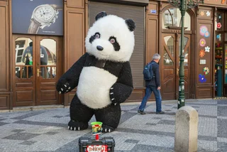 Prague 1 to ban busking inflatable bears