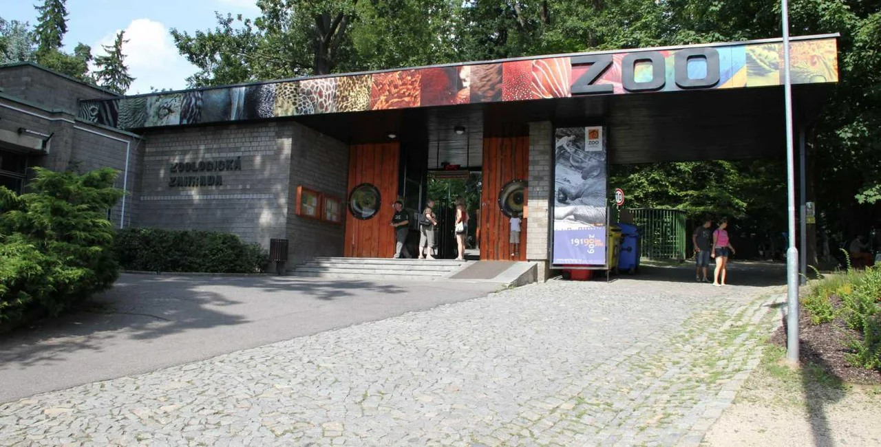 Czech zoos call for an earlier reopening date, say they are similar to parks