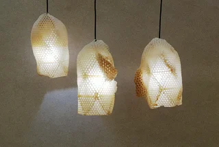 The lampshades have been made by bees! Photo: Eduard Seibert