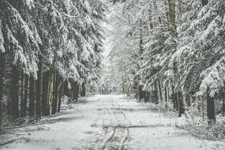 Czechia could see its first snowfall this weekend