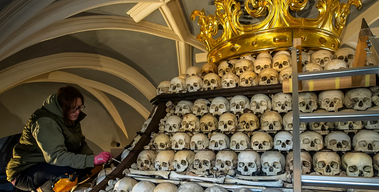 Photo via Sedlec Ossuary.