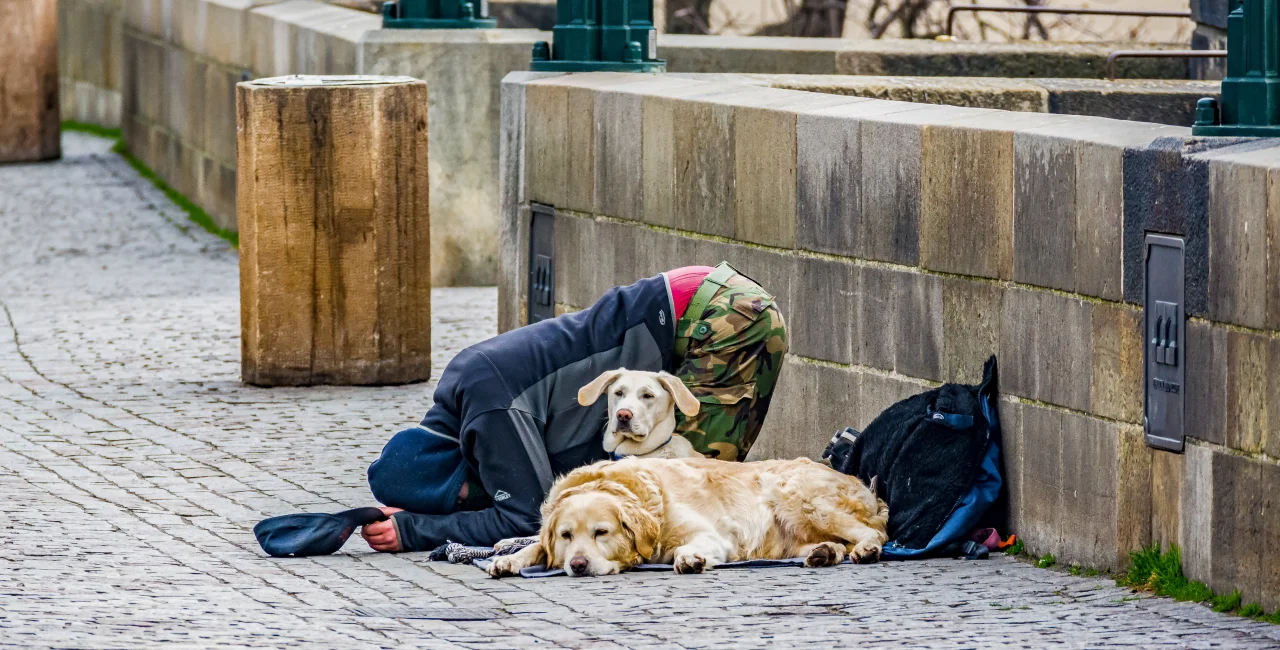 Prague wants to ban the homeless and street performers from using animals