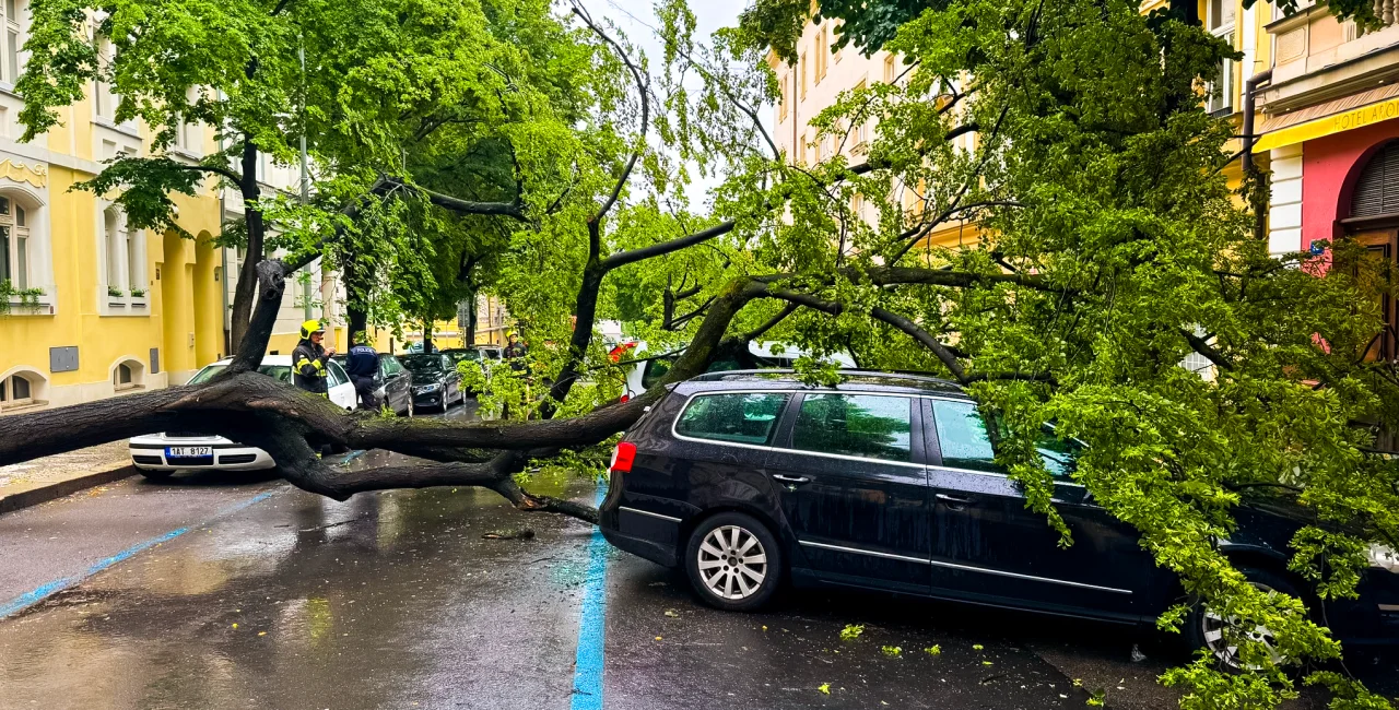 Flooding, falling trees, and lightning cause chaos in Czechia – further storms expected
