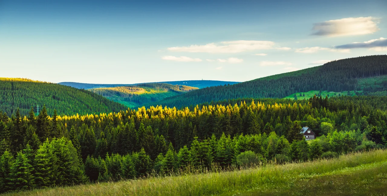 Summer morning in . Photo: Shutterstock / Vojtech Petr