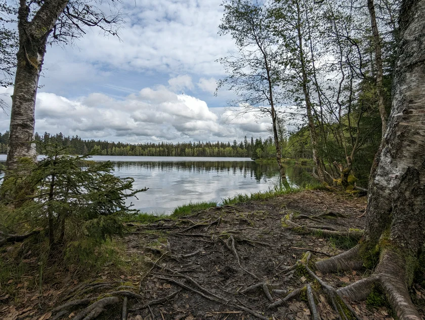 Kladská nature reserve