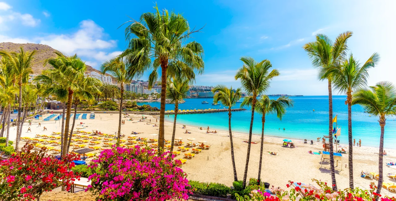 Anfi beach, Gran Canaria, Spain. Shutterstock by Balate.Dorin for LEAD by Daria TRAVEL VACATION TRAVEL SEA BEACH HOLIDAY