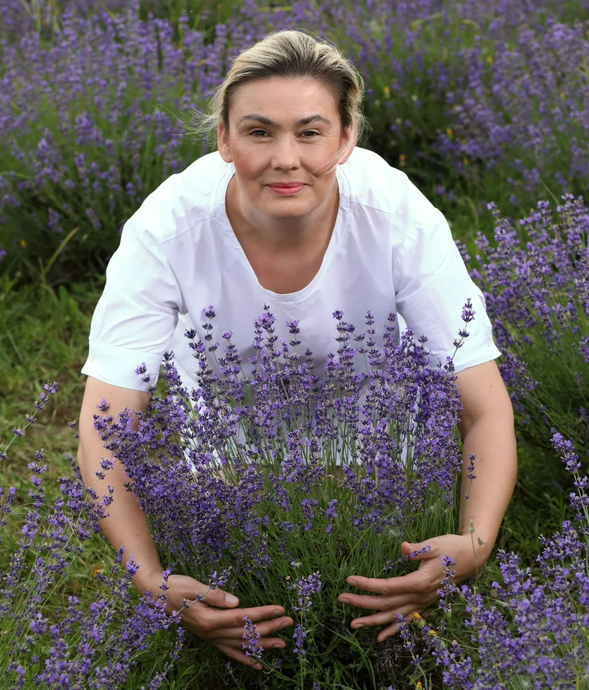 Lavandula Bohemia Levandulové údolí 10-2024 HelenaN_objiÌmaÌ Levanduli ChodounÌskou CROP1