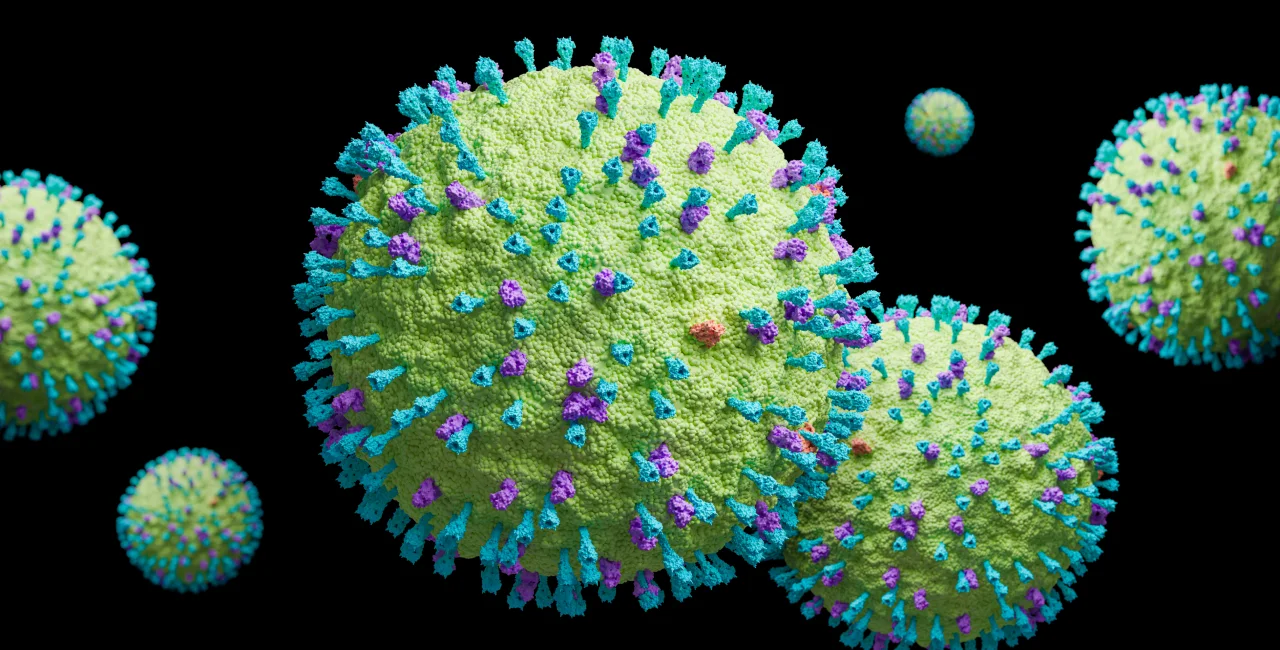 human metapneumovirus (hMPV)