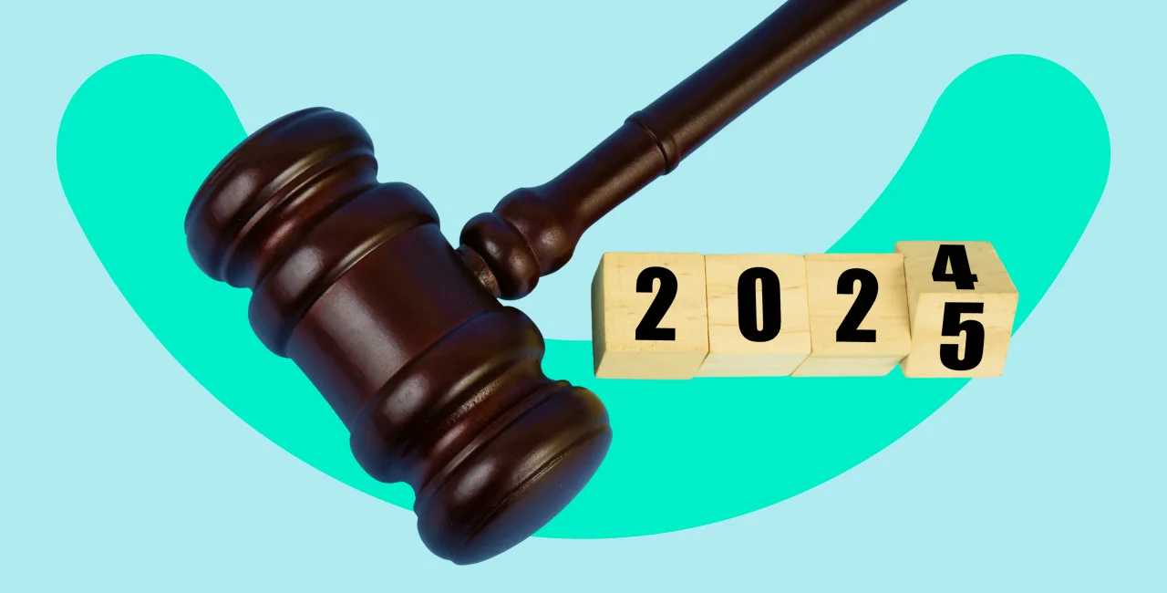 OVERVIEW: Which new laws and rules go into effect in Czechia in 2025?