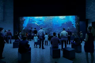 Image: Zoo Olomouc