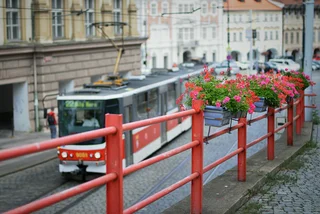 Shutterstock: Ekaterina_Fedorova