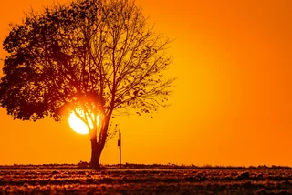 Summer sunrise in Bechyně, South Bohemia. Photo: Shuitterstock / Petrpodhajsky