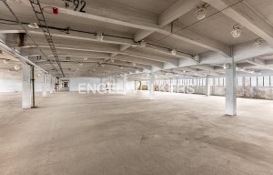 Warehouse for rent, 24288m<sup>2</sup>