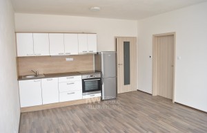 Apartment for rent, 2+kk - 1 bedroom, 58m<sup>2</sup>