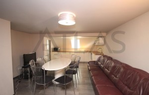Apartment for rent, 3+kk - 2 bedrooms, 120m<sup>2</sup>