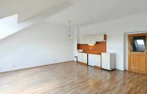 Apartment for rent, 1+KK - Studio, 46m<sup>2</sup>