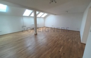 Apartment for rent, 4+kk - 3 bedrooms, 153m<sup>2</sup>