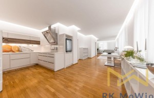 Apartment for rent, 3+kk - 2 bedrooms, 100m<sup>2</sup>