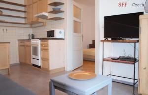 Apartment for rent, 2+kk - 1 bedroom, 50m<sup>2</sup>