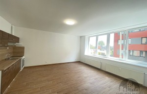 Apartment for rent, 1+KK - Studio, 36m<sup>2</sup>