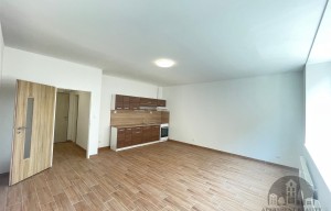 Apartment for rent, 1+KK - Studio, 36m<sup>2</sup>