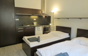 Apartment for rent, 1+KK - Studio, 24m<sup>2</sup>